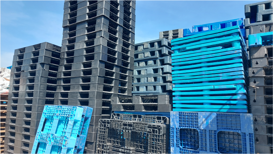 พาเลทสมุทรปราการ