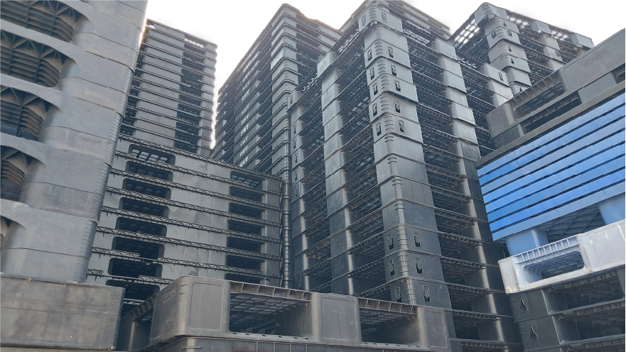 พาเลทบางพลี